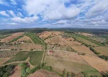 Foto 2 - Casa indipendente Le Lupinaie
 
snc, Magliano in Toscana - foto 2