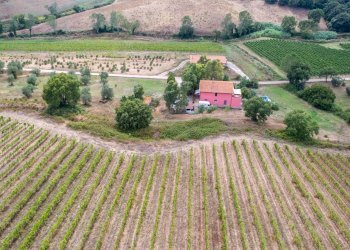 Foto 4 - Casa indipendente Le Lupinaie
 
snc, Magliano in Toscana - foto 4