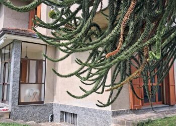 Foto 2 - Semi-detached house Via Pordenone
 
21, Seveso - photo 2