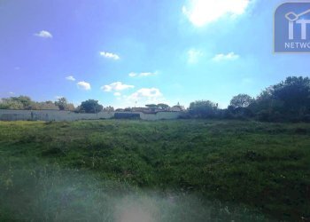 Foto 4 - Terreno agricolo via del frumento, Ardea - foto 4