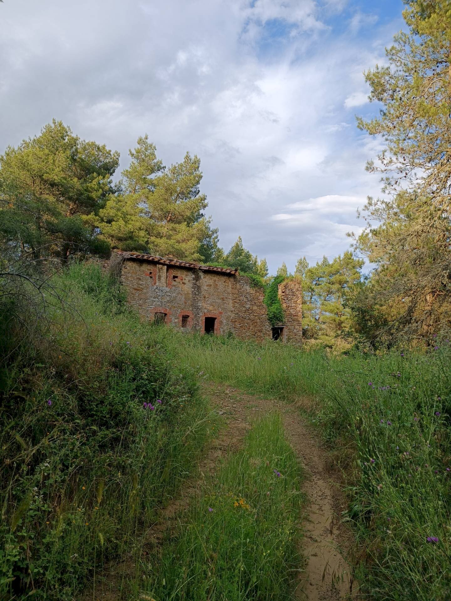 Foto 1 - Rustic Piegaro - photo 1