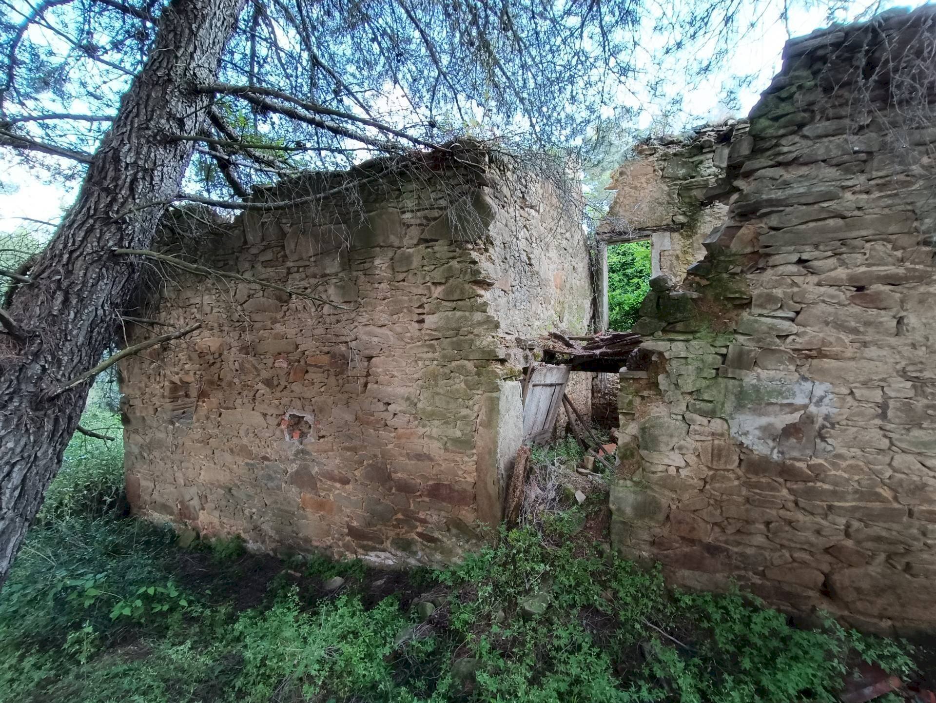 Foto 3 - Rustic Piegaro - photo 3