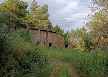 Foto 1 - Rustic Piegaro - photo 1