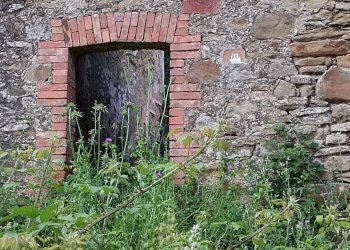 Foto 2 - Rustic Piegaro - photo 2