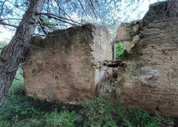 Foto 3 - Rustic Piegaro - photo 3