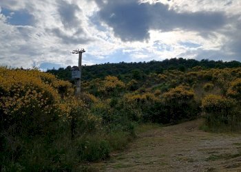 Foto 6 - Rustic Piegaro - photo 6