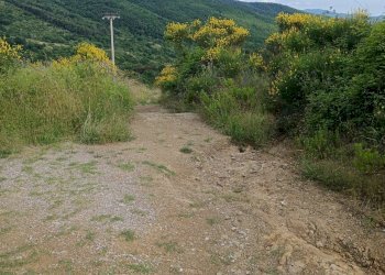 Foto 10 - Rustic Piegaro - photo 10