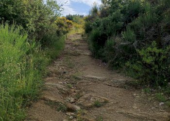 Foto 12 - Rustic Piegaro - photo 12