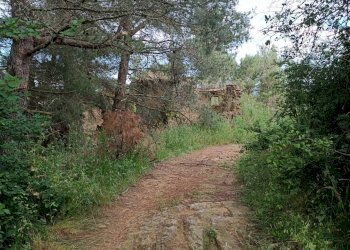 Foto 13 - Rustic Piegaro - photo 13