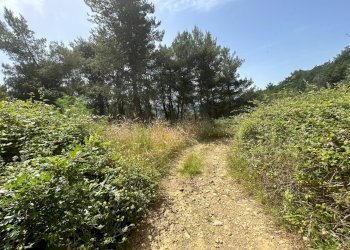 Foto 17 - Rustic Piegaro - photo 17