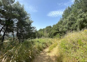 Foto 18 - Rustic Piegaro - photo 18