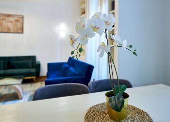soggiorno - Bed & Breakfast via Carlo Mirabello, 26, Roma - photo 9