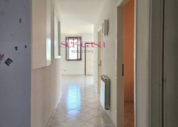 Foto 14 - Appartamento Grosseto - foto 14