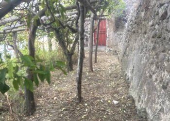 Terreno - Agricultural land largo Civita, 10, Ravello - photo 35