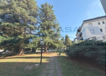 Giardino - Trilocale Ozzano dell'Emilia - foto 5