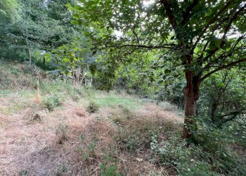 giardino - Portion of a house VIA, Val Liona - photo 19