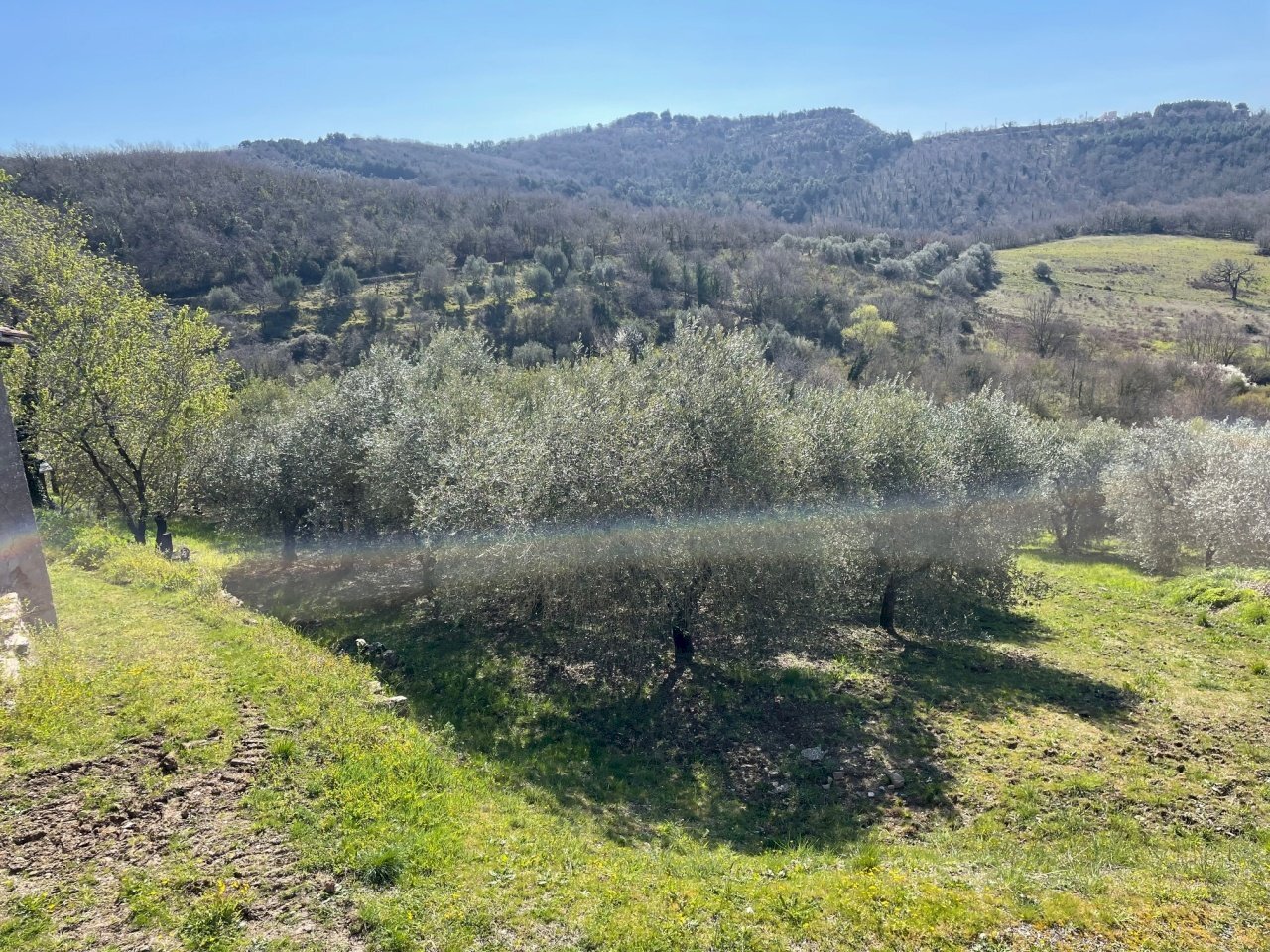 IMG_7469 - Agricultural land Vocabolo Refogliano 50, Piegaro - photo 1