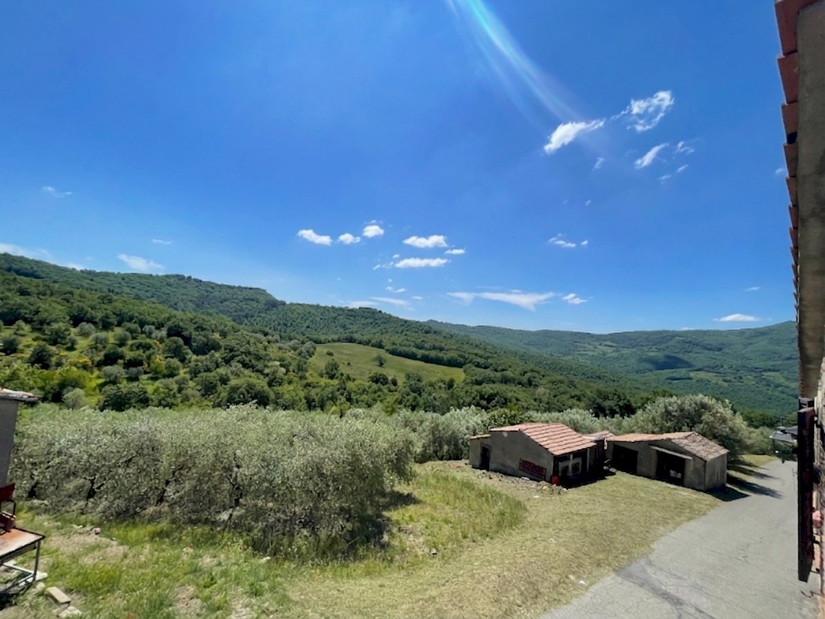 1779708298.jpg - Agricultural land Vocabolo Refogliano 50, Piegaro - photo 3