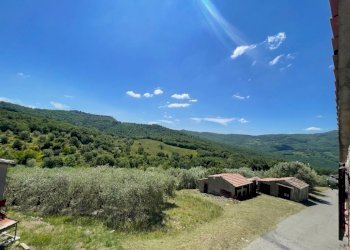 1779708298.jpg - Agricultural land Vocabolo Refogliano 50, Piegaro - photo 3