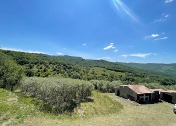 IMG_8226 - Agricultural land Vocabolo Refogliano 50, Piegaro - photo 5