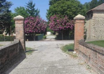 PHOTO-2026-07-24-16-07-38 - Villa Via Ponticelli 11, Agugliaro - photo 29