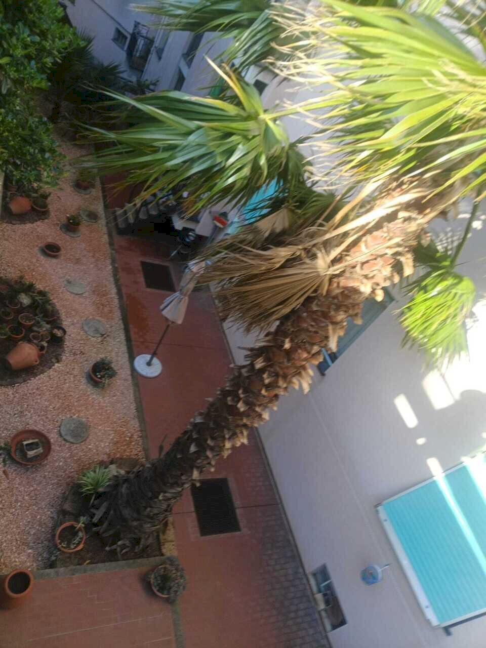 WhatsApp Image 2026-06-10 at 12.37.14 (1) - Appartamento Via Rusca 37, Savona (zona La Rusca) - foto 1