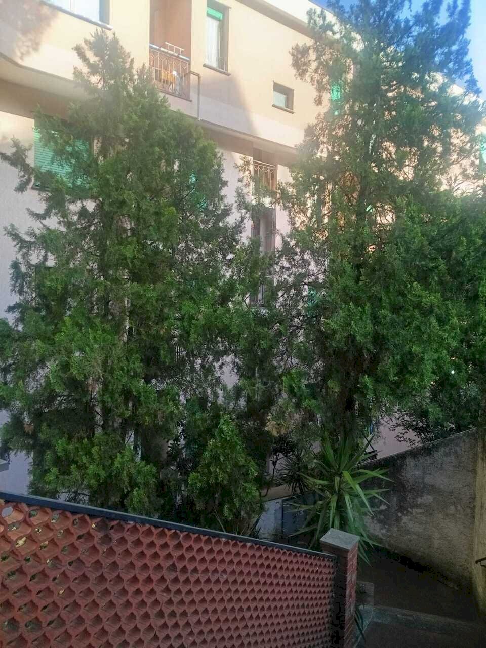 WhatsApp Image 2026-06-10 at 12.37.14 (2) - Appartamento Via Rusca 37, Savona (zona La Rusca) - foto 2