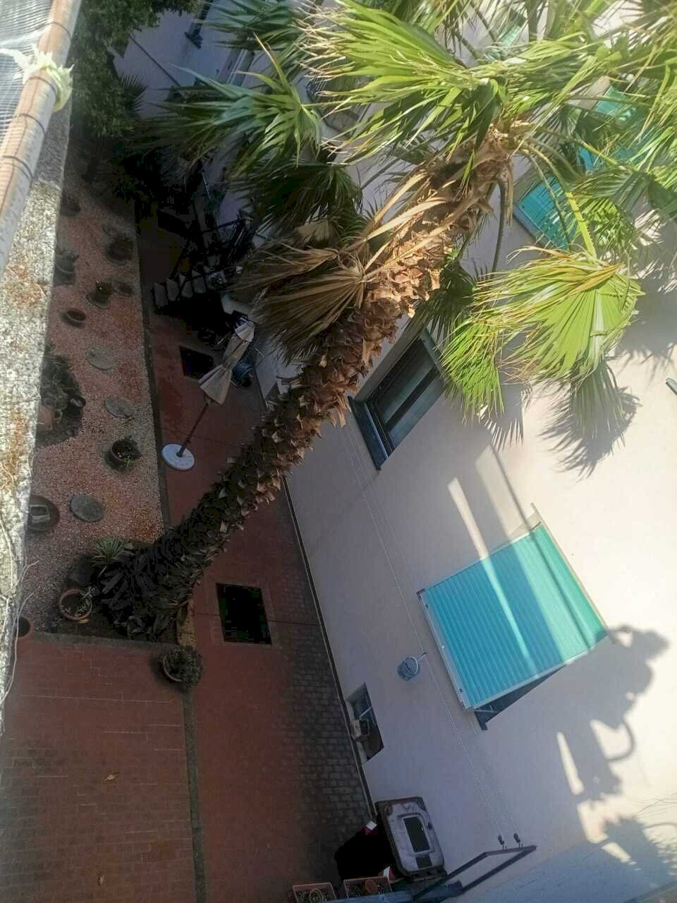 WhatsApp Image 2026-06-10 at 12.37.14 - Appartamento Via Rusca 37, Savona (zona La Rusca) - foto 3