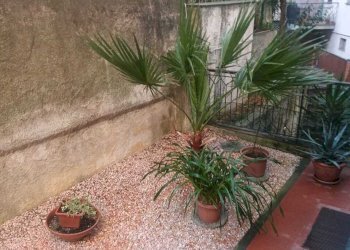 WhatsApp Image 2026-06-10 at 12.37.16 (1) - Appartamento Via Rusca 37, Savona (zona La Rusca) - foto 10