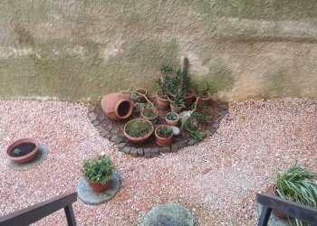WhatsApp Image 2026-06-10 at 12.37.16 - Appartamento Via Rusca 37, Savona (zona La Rusca) - foto 13
