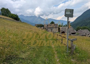 Strada che conduce al rifugio - Rustico Bannio Anzino - foto 1