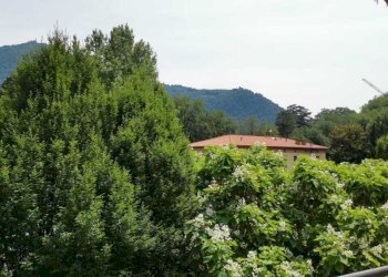 Balcone - Two-room apartment Via Cinque Giornate 2, Cernobbio - photo 4