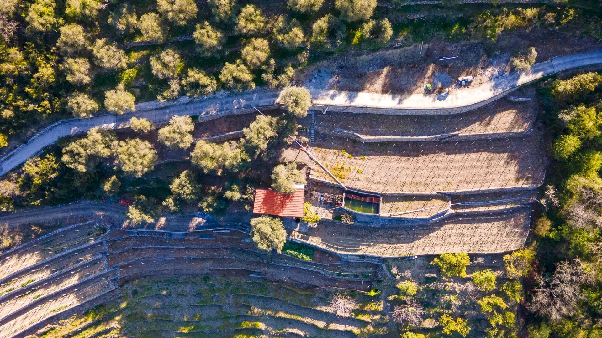 Terreno edificabile Soldano - foto 2