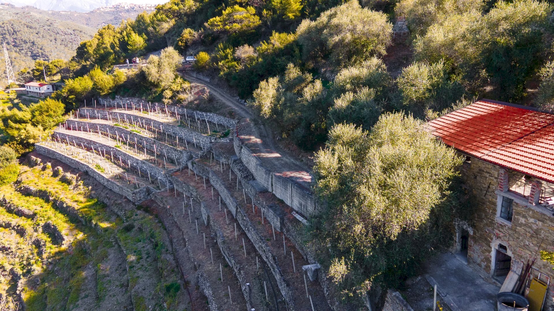 Terreno edificabile Soldano - foto 3