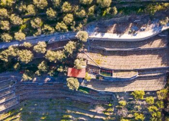Building land Soldano - photo 2