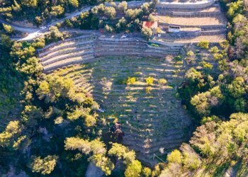 Building land Soldano - photo 5