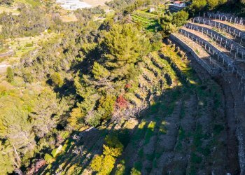 Building land Soldano - photo 6