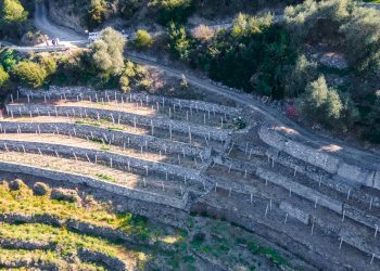 Building land Soldano - photo 7