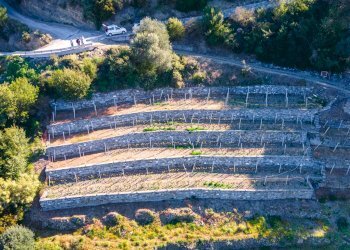 Building land Soldano - photo 8