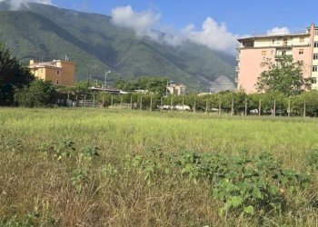 Agricultural land via Fiumarello, Nocera Superiore - photo 6