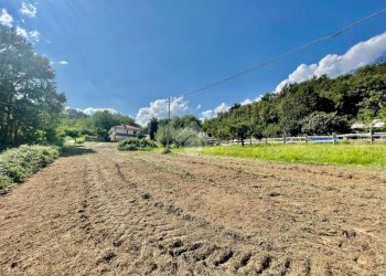Terreno edificabile Frazione Spineto, Castellamonte - foto 10