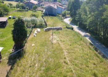 Terreno edificabile Frazione Spineto, Castellamonte - foto 12