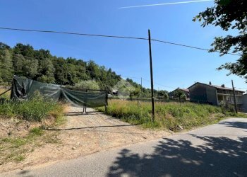 Terreno edificabile Frazione Spineto, Castellamonte - foto 22