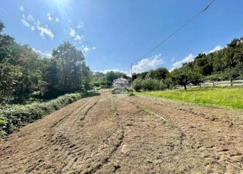 Terreno edificabile Frazione Spineto, Castellamonte - foto 23