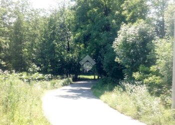 Agricultural land Via robaronzino, Ciriè - photo 2