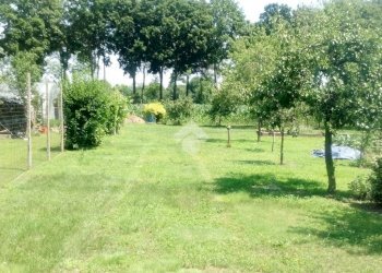 Agricultural land Via robaronzino, Ciriè - photo 6