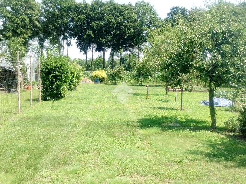 Agricultural land Via robaronzino, Ciriè - photo 2