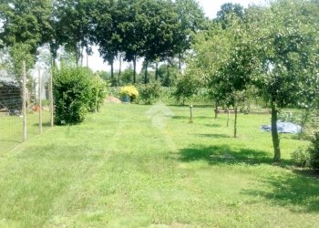 Agricultural land Via robaronzino, Ciriè - photo 2