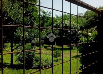 Agricultural land Via robaronzino, Ciriè - photo 3