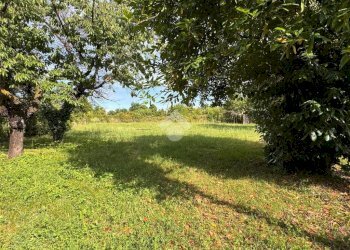 Terreno agricolo Strada Ca Bianca, Rivalta di Torino - foto 4